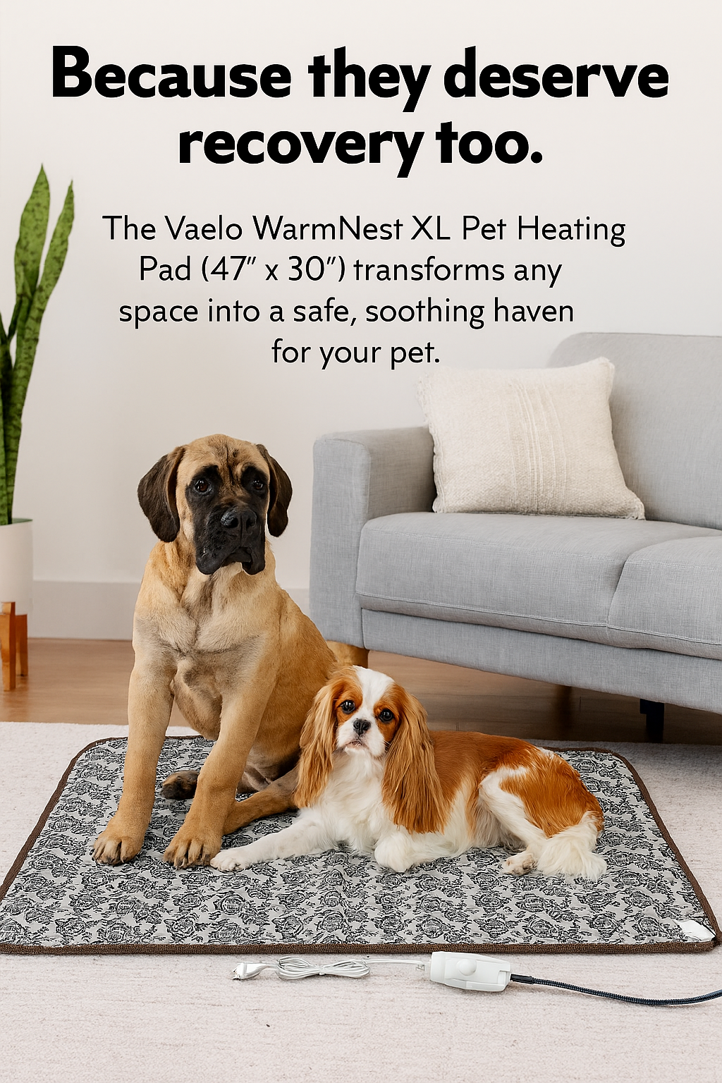 Vaelo WarmNest XL Pet Heating Pad — Built for Cozy Recovery